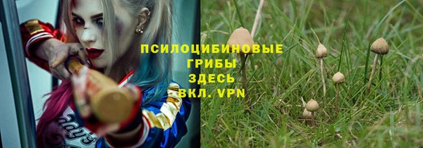 гидра Алексин