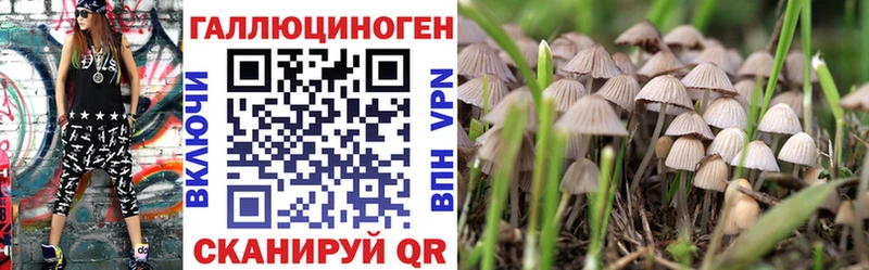 наркота  Козьмодемьянск  darknet Telegram  Псилоцибиновые грибы Cubensis 